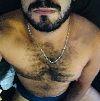 foto do perfil ursoporco